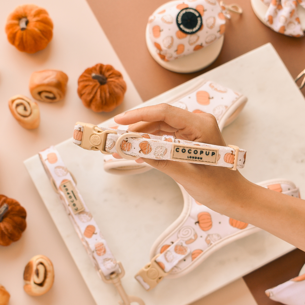 Person holding a Cocopup London dog collar with a pumpkin pattern among autumn-themed items.