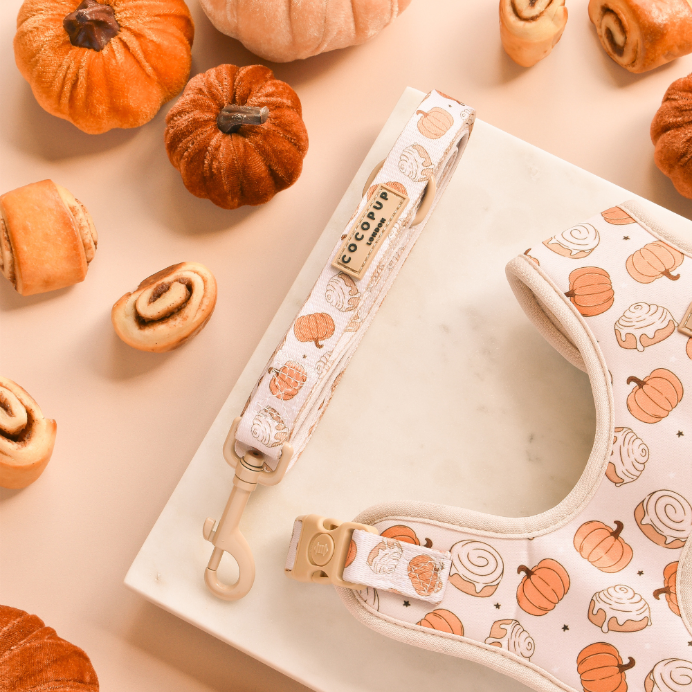 Dog leash and harness with pumpkin and cinnamon roll patterns surrounded by decorative pumpkins and pastries.